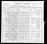 1900 Census, Martin, Weakley county, Tennessee