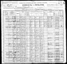 1900 Census, Bruneau, Owyhee county, Idaho