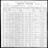 1900 Census, Pinckneyville, Perry county, Illinois