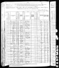 1880 Census, Perry township, St. Francois county, Missouri