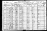 1920 Census, Wise county, Texas