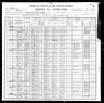 1900 Census, Tamalco township, Bond county, Illinois