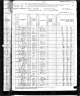 1880 Census, Saline township, Perry county, Missouri