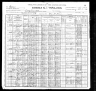 1900 Census, Perry township, St. Francois county, Missouri