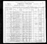 1900 Census, Carroll township, Reynolds county, Missouri
