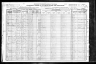1920 Census, Saline township, Perry county, Missouri