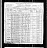 1900 Census, Cherokee Nation, Indian Territory