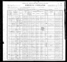 1900 Census, Amo township, Cottonwood county, Minnesota
