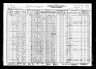 1930 Census, Buffalo township, Dunklin county, Missouri