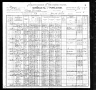 1900 Census, Perry township, St. Francois county, Missouri