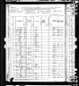 1880 Census, Washington township, Webster county, Missouri