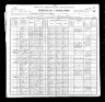 1900 Census, Kaolin township, Iron county, Missouri