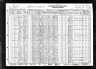 1930 Census, Burdine township, Texas county, Missouri