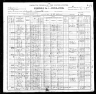 1900 Census, Lesterville township, Reynolds county, Missouri