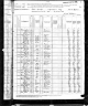 1880 Census, Saline township, Perry county, Missouri