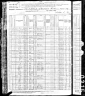 1880 Census, Clinton, Hickman county, Kentucky