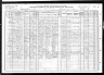 1910 Census, Amiret township, Lyon county, Minnesota
