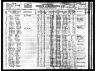 1905 Minnesota Census, Donnelly township, Stevens county