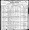 1900 Census, Hunt county, Texas