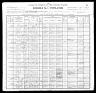 1900 Census, Liberty township, Madison county, Missouri