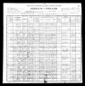 1900 Census, Wolf Island township, Mississippi county, Missouri