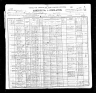 1900 Census, Kaolin township, Iron county, Missouri
