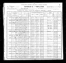 1900 Census, Iron township, Iron county, Missouri