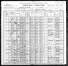 1900 Census, Jackson township, Ste. Genevieve county, Missouri