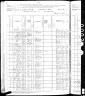 1880 Census, Tenhassen township, Martin county, Minnesota