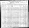 1900 Census, Castor township, Madison county, Missouri