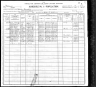 1900 Census, Morley township, Scott county, Missouri