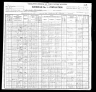1900 Census, South Loup township, Hall county, Nebraska