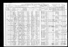 1910 Census, Wise county, Texas