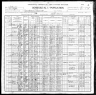 1900 Census, Central precinct, Randolph county, Illinois